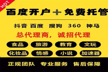 SEM代理助力品牌：案例解析与优化策略